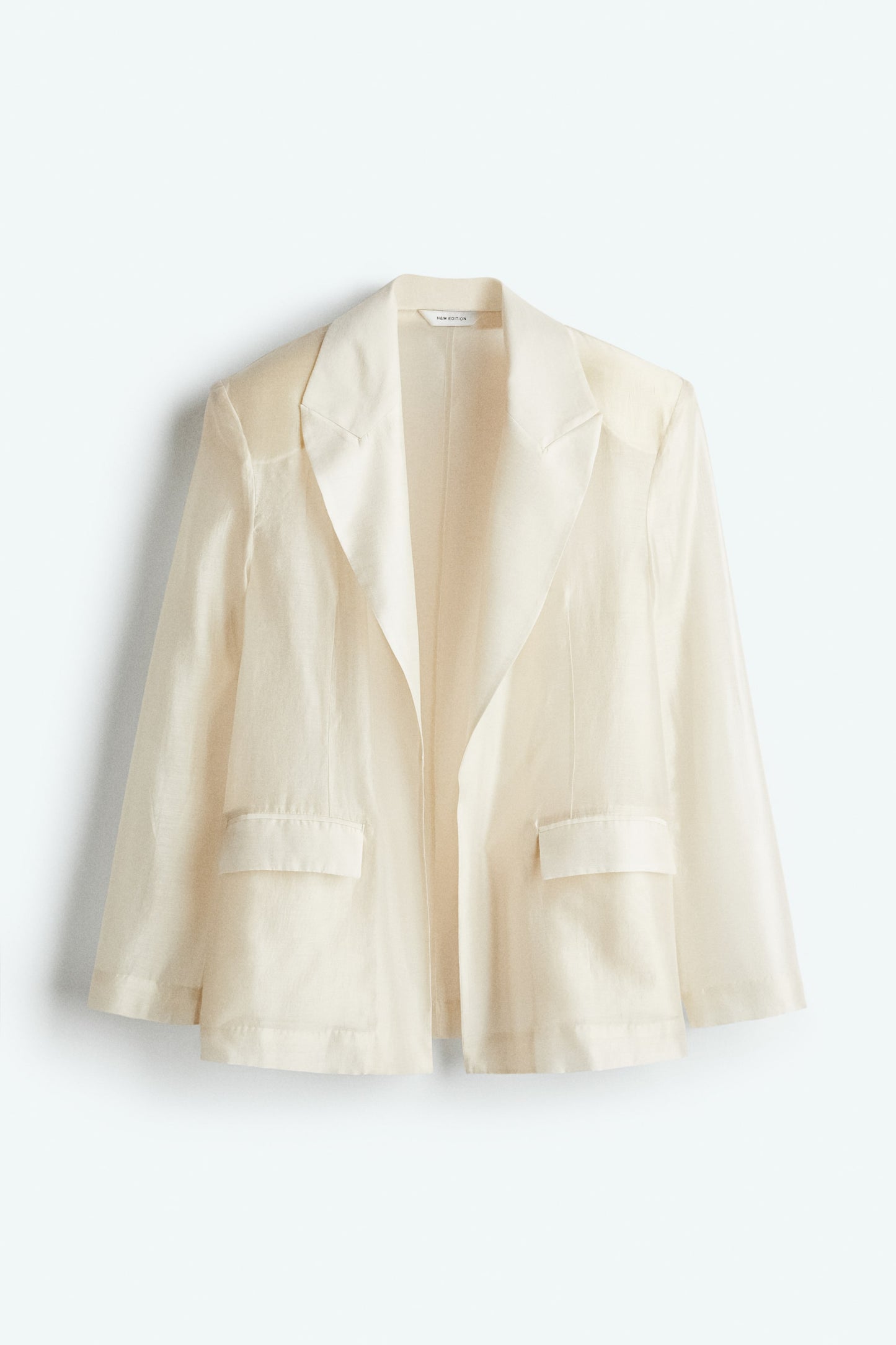 Oversized sheer blazer