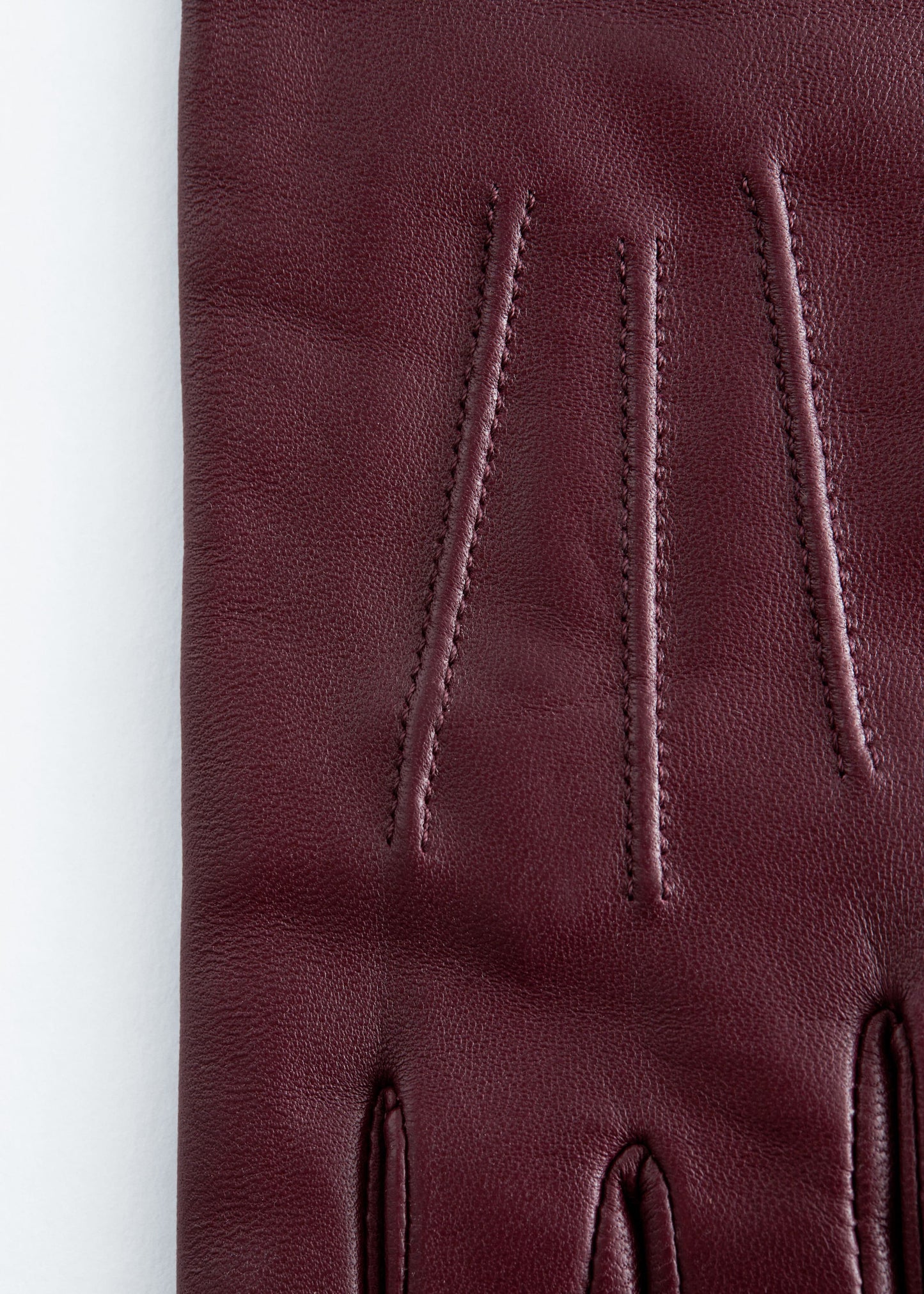 Long Leather Gloves