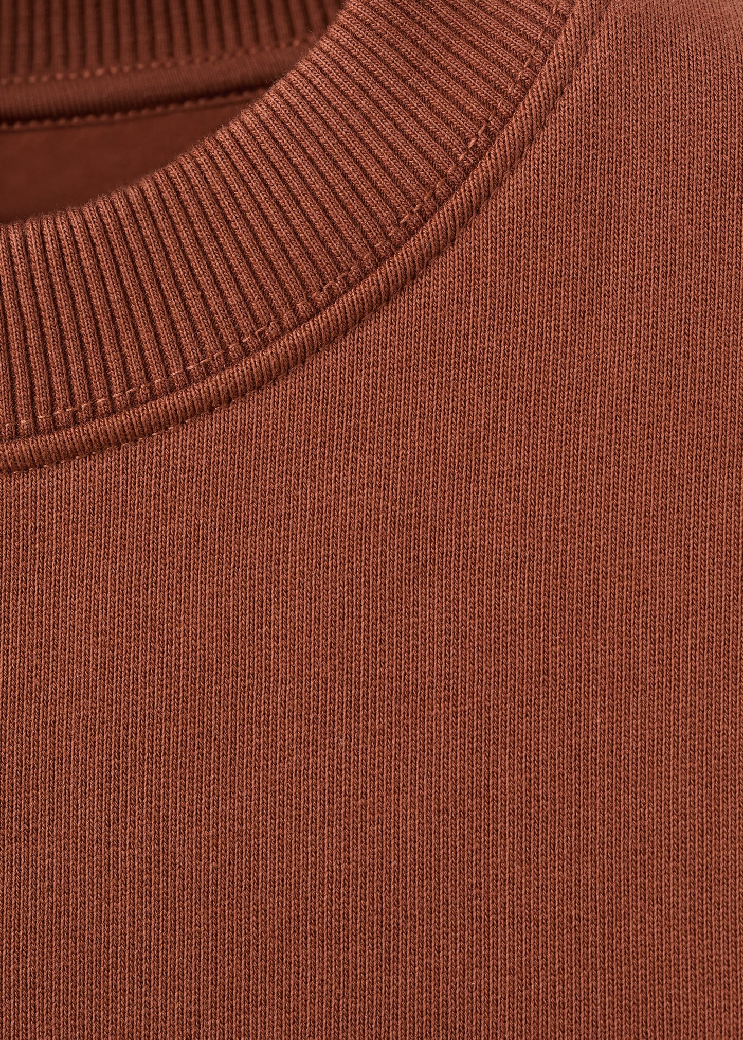Plain cotton sweatshirt