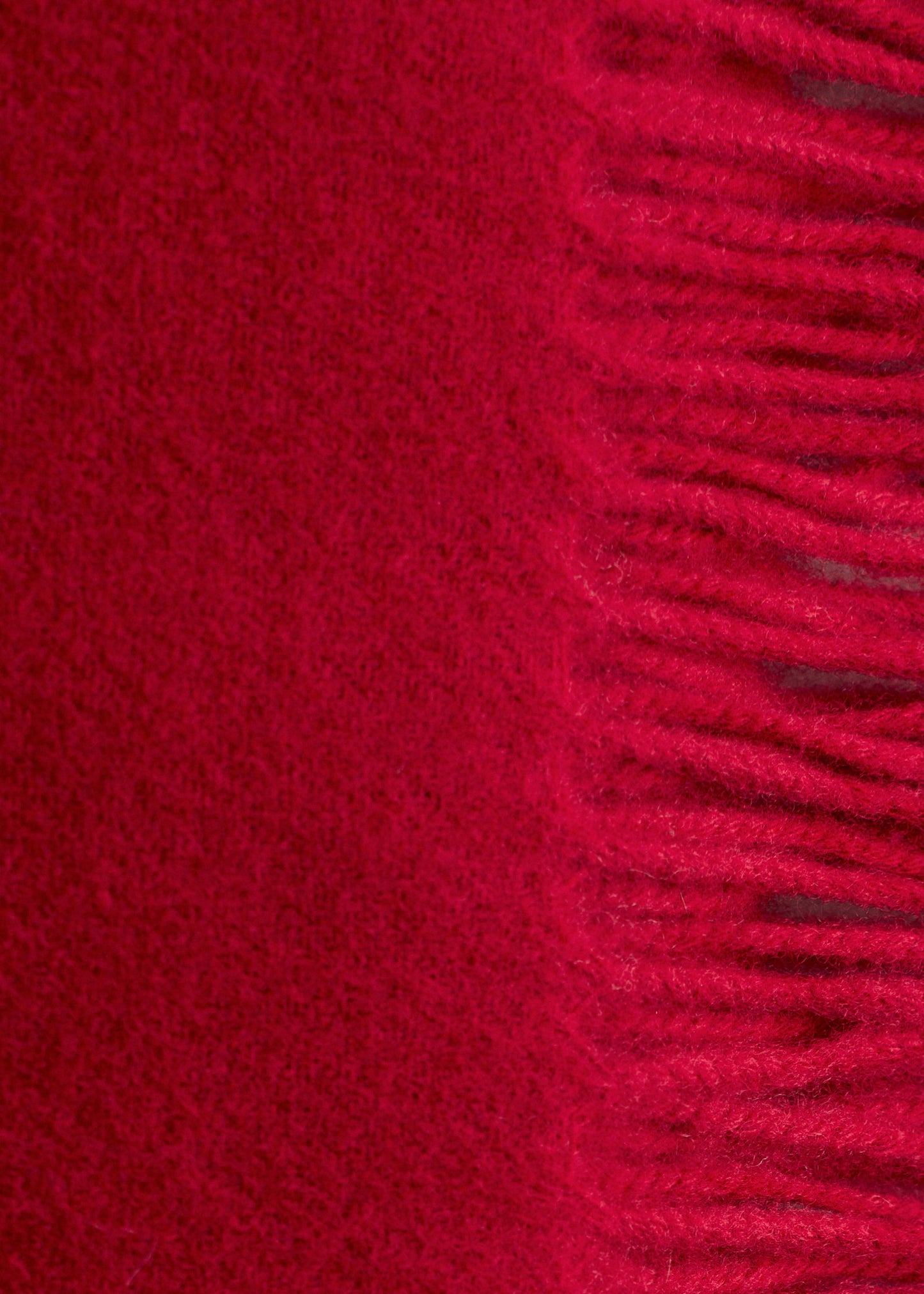 Fringed Wool Blanket Scarf