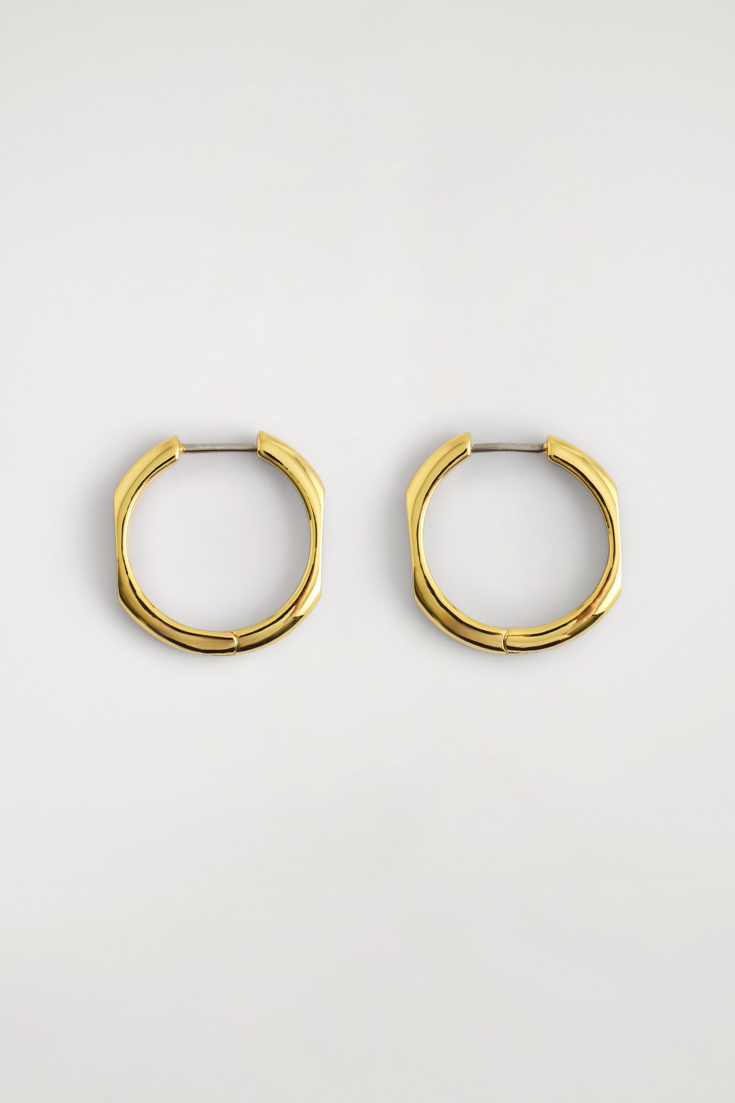 Faceted Hoop Earrings