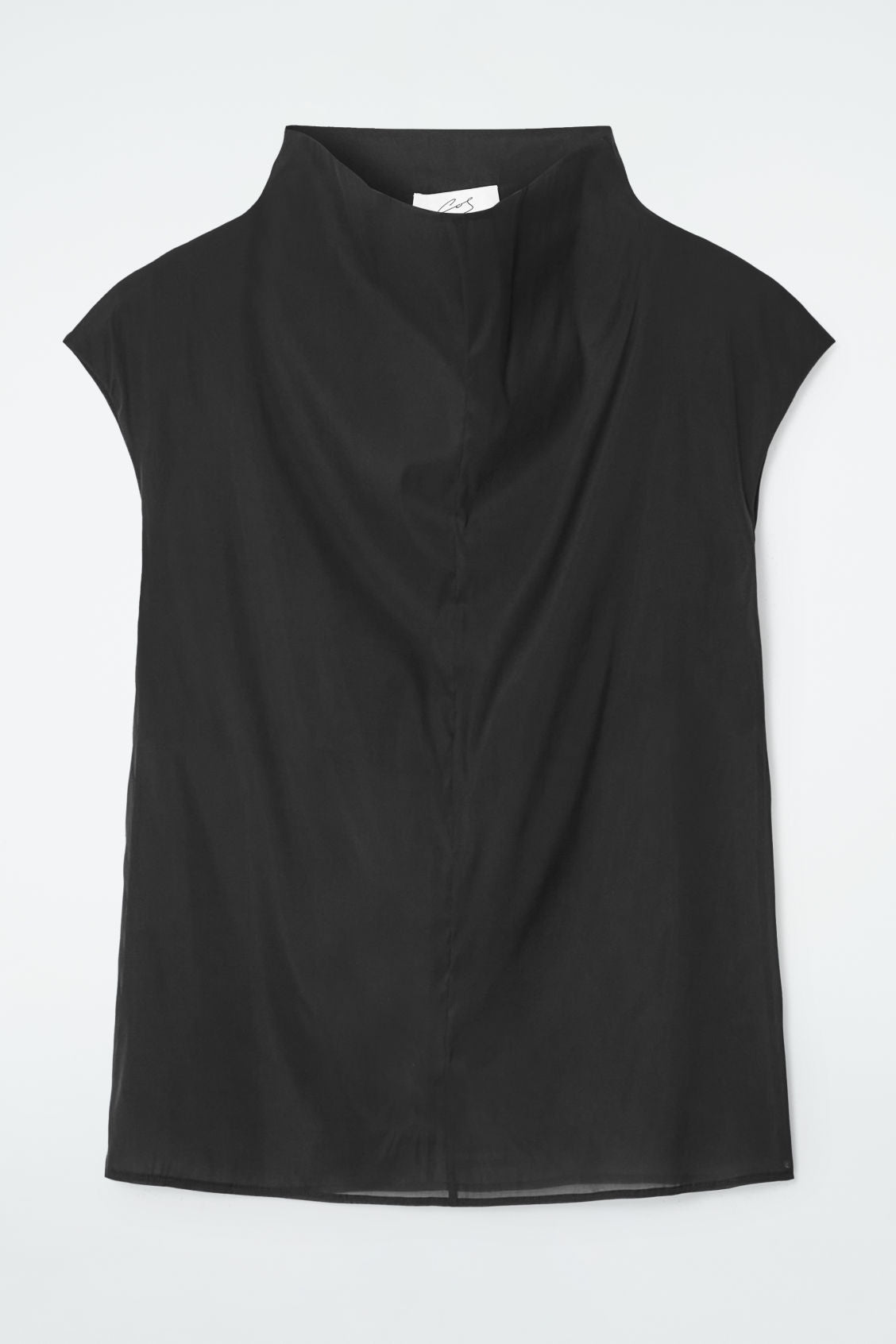 The sheer sleeveless top