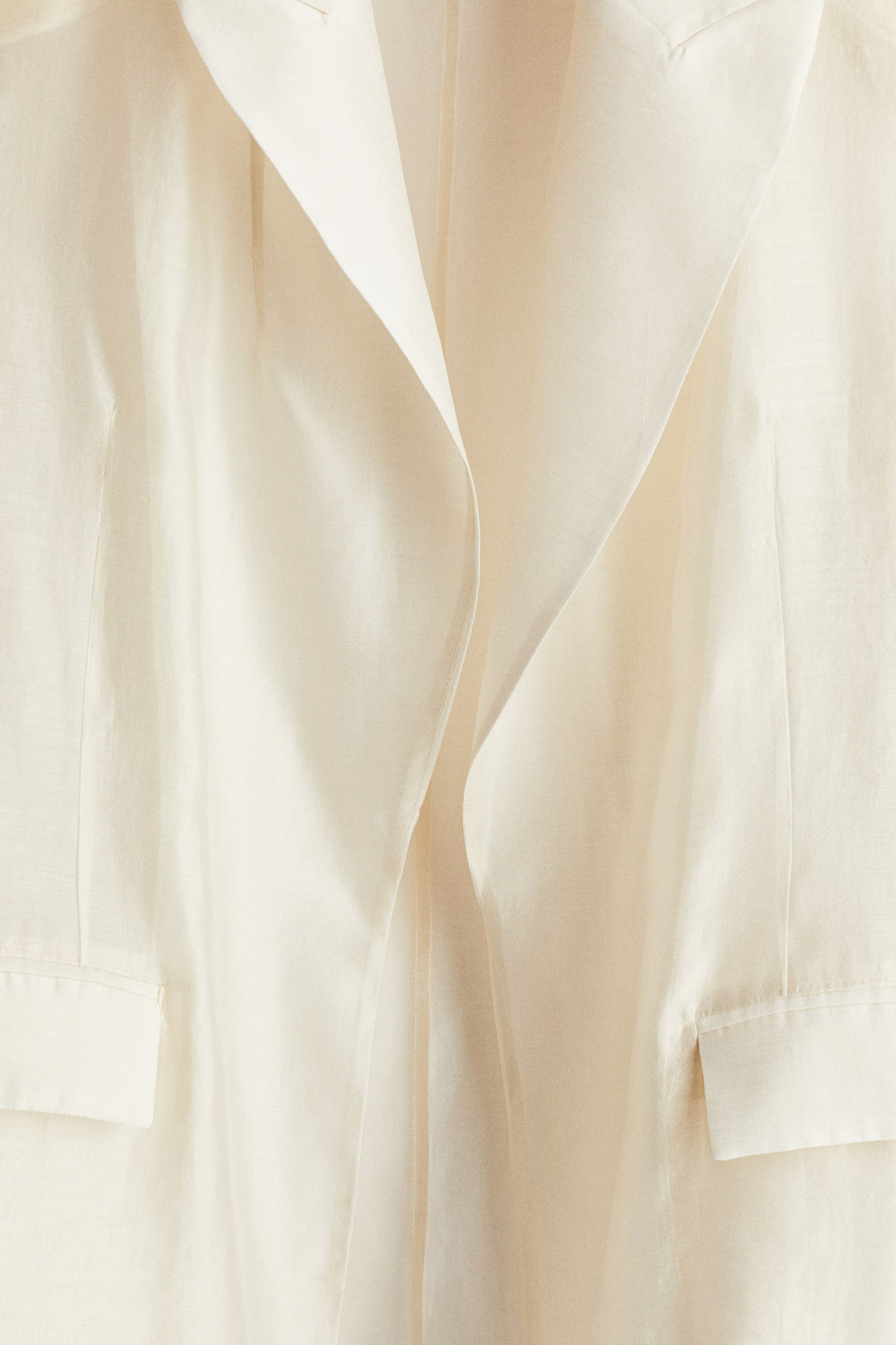 Oversized sheer blazer
