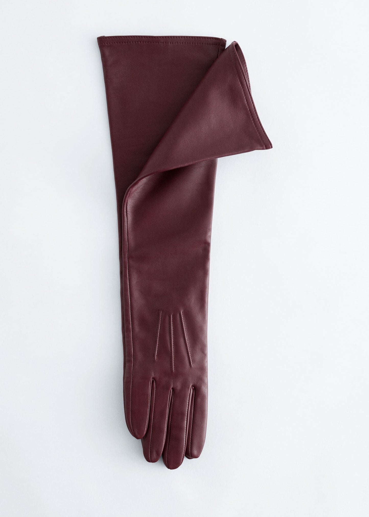 Long Leather Gloves