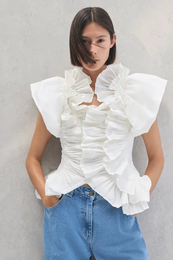 Pleated Ruffle Sleeve Woven Top