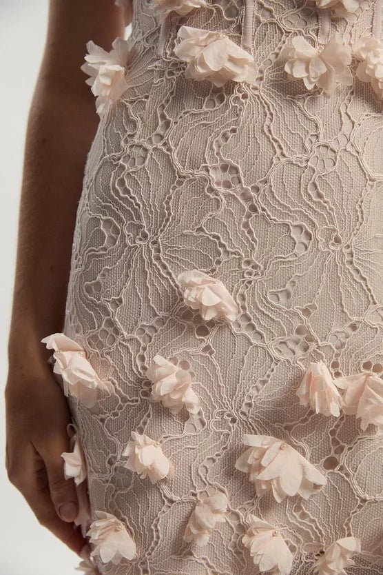 Applique Lace Corset Woven Mini Dress
