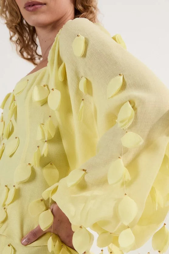 Applique Balloon Sleeve Woven Top