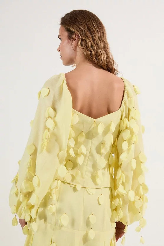 Applique Balloon Sleeve Woven Top