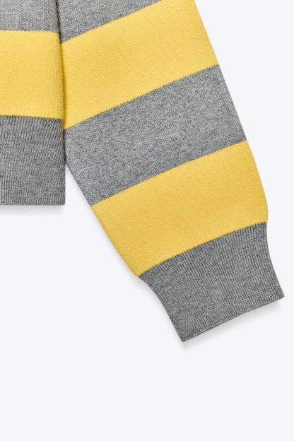 Striped Knit Polo Collar Sweater