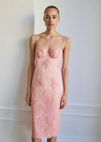 Lace dress with structured neckline
