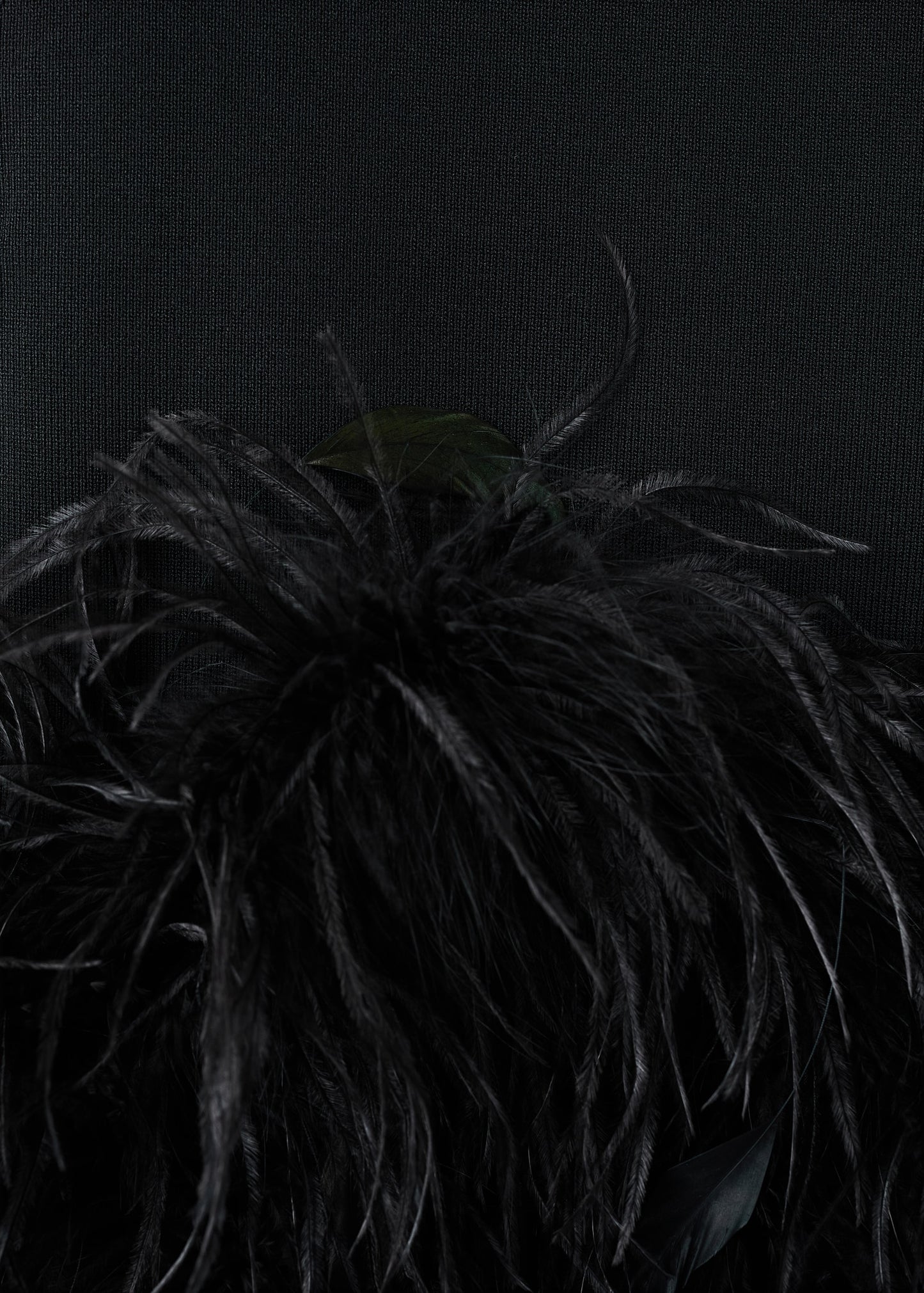 Knitted top with feather