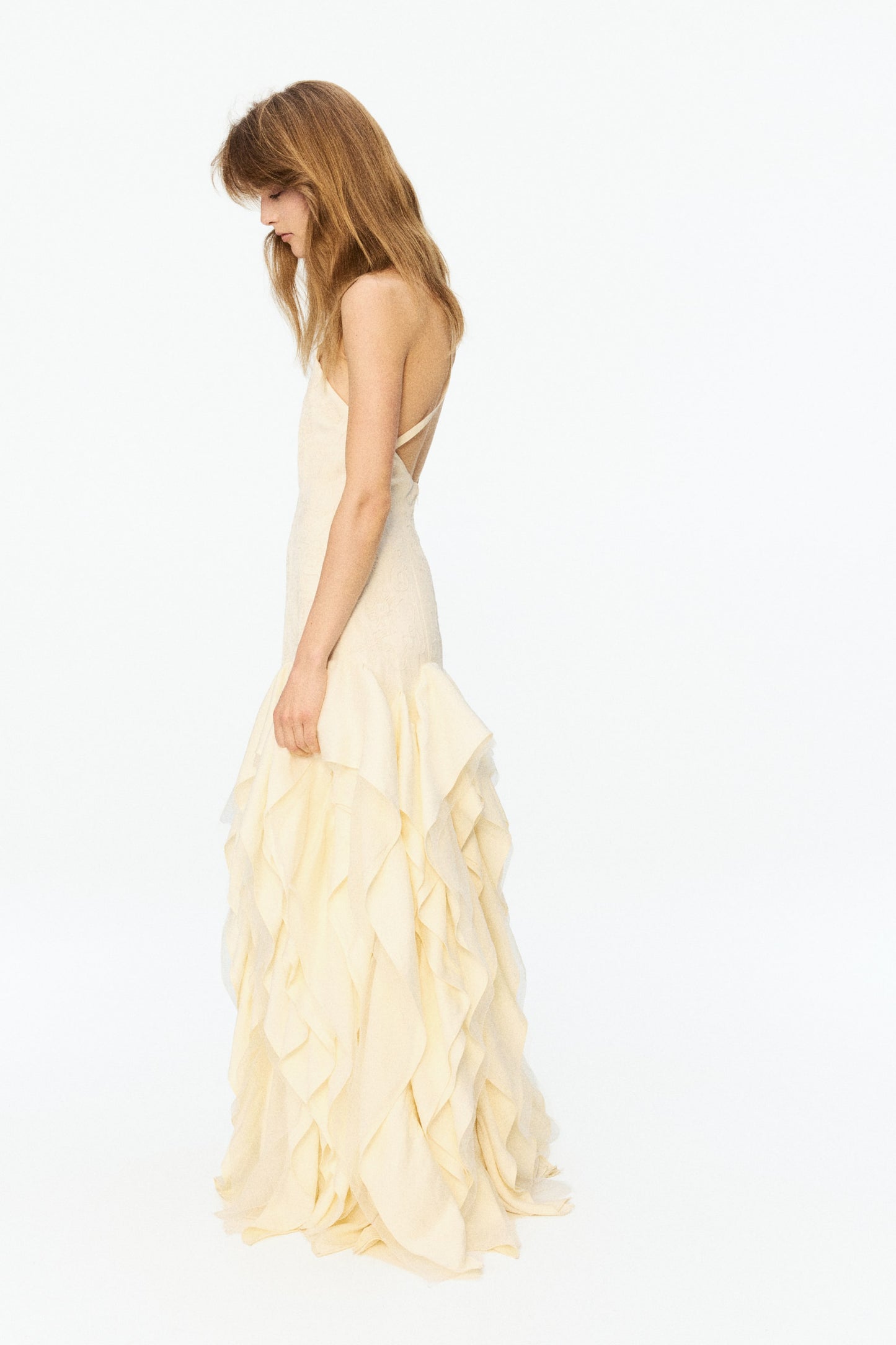 Ruffled embroidered dress