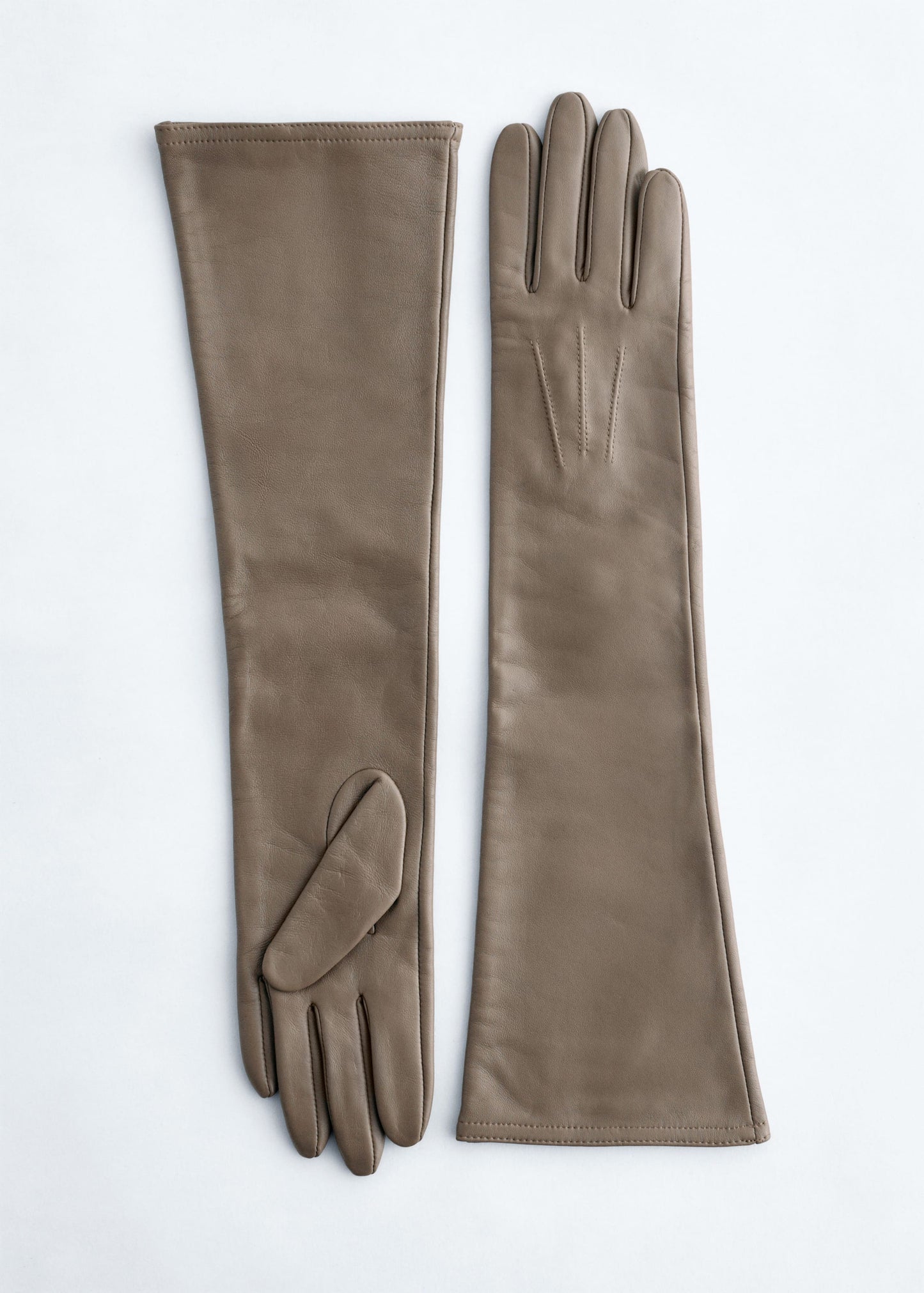 Long Leather Gloves