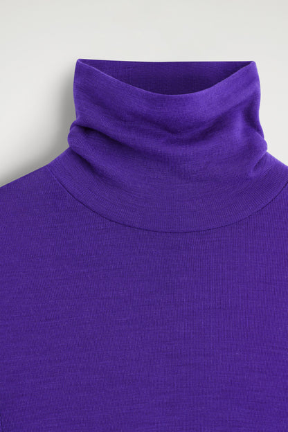 Merino Wool High Neck Top
