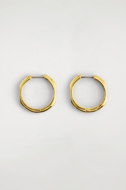 Faceted Hoop Earrings