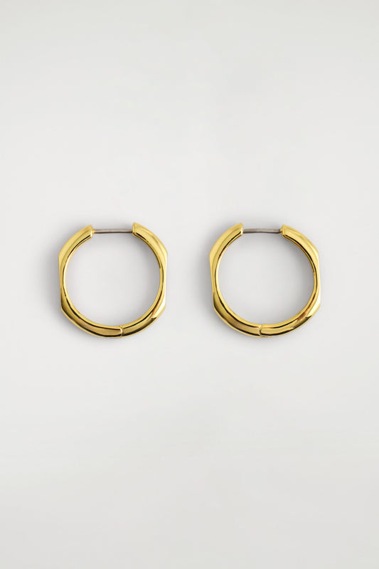 Faceted Hoop Earrings