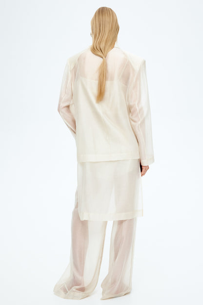 Oversized sheer blazer