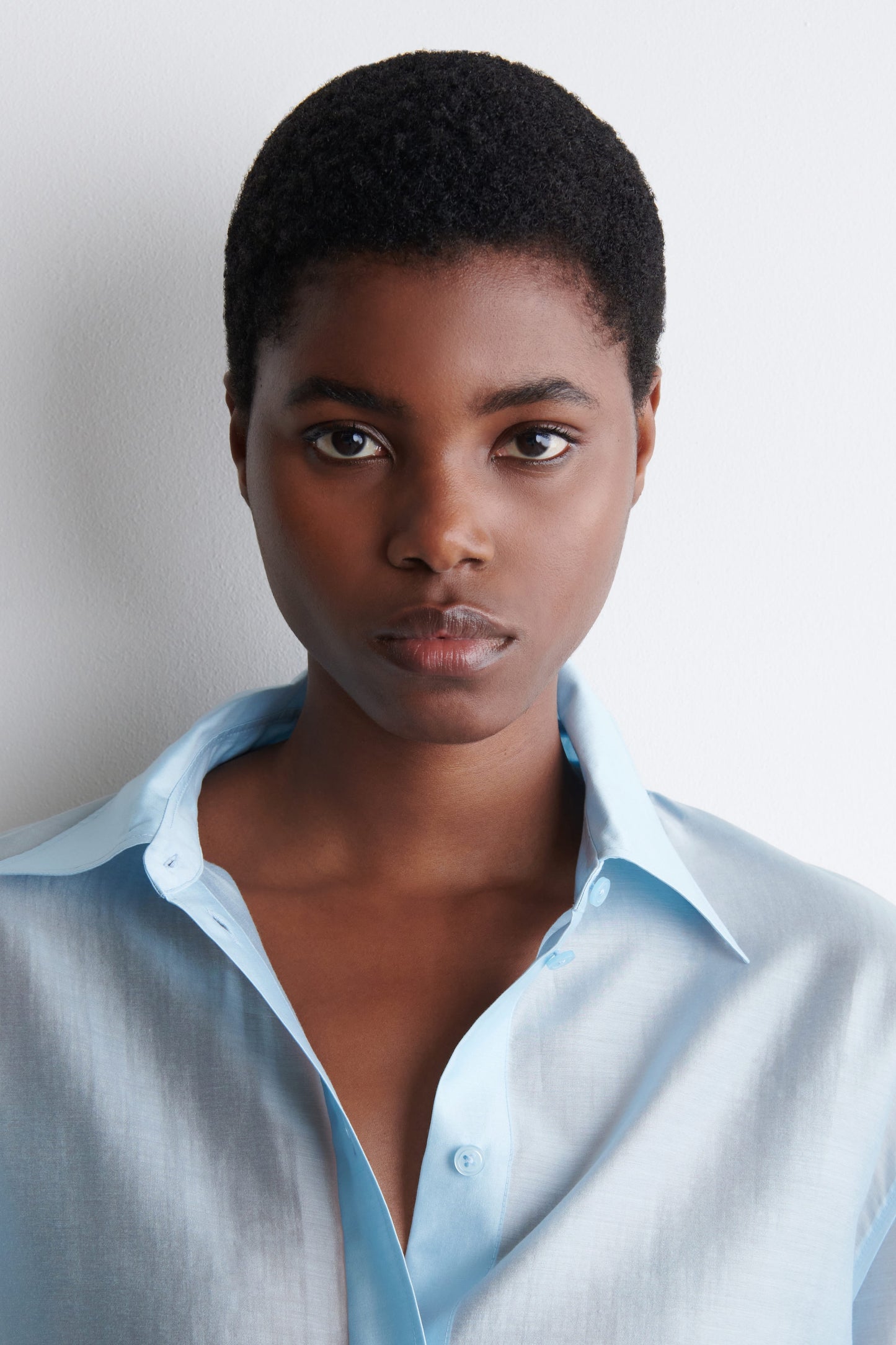 Sheer Shirt