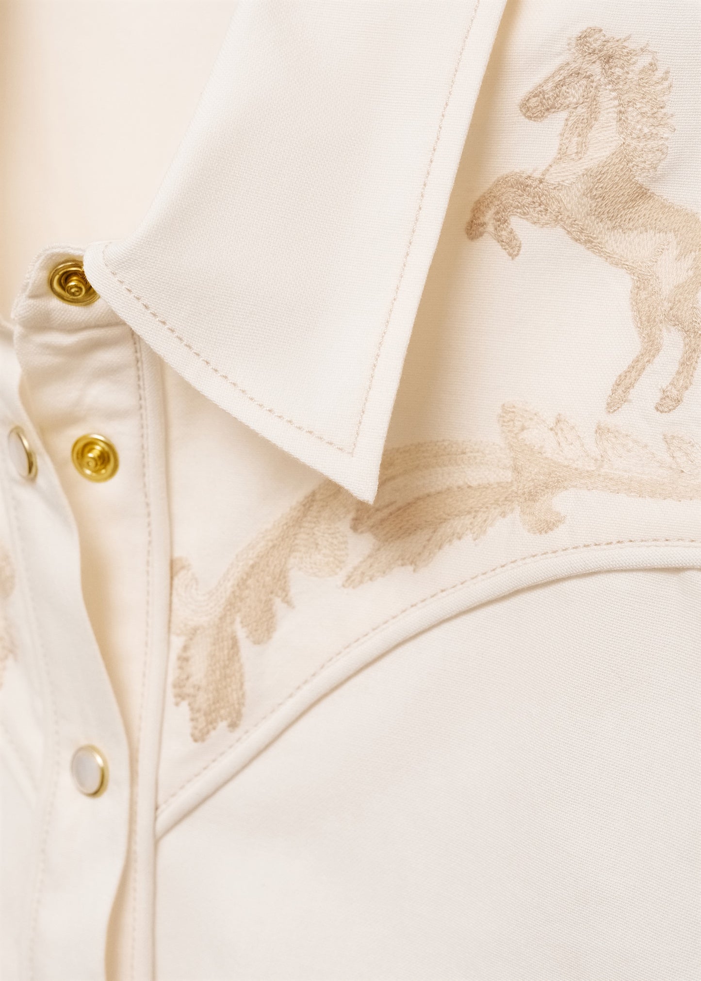 Fitted shirt with decorative embroidery