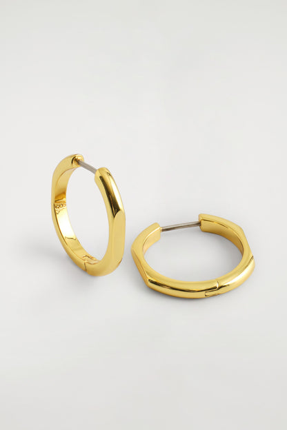 Faceted Hoop Earrings