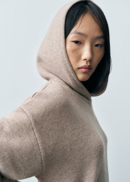 Wool-blend hooded sweater