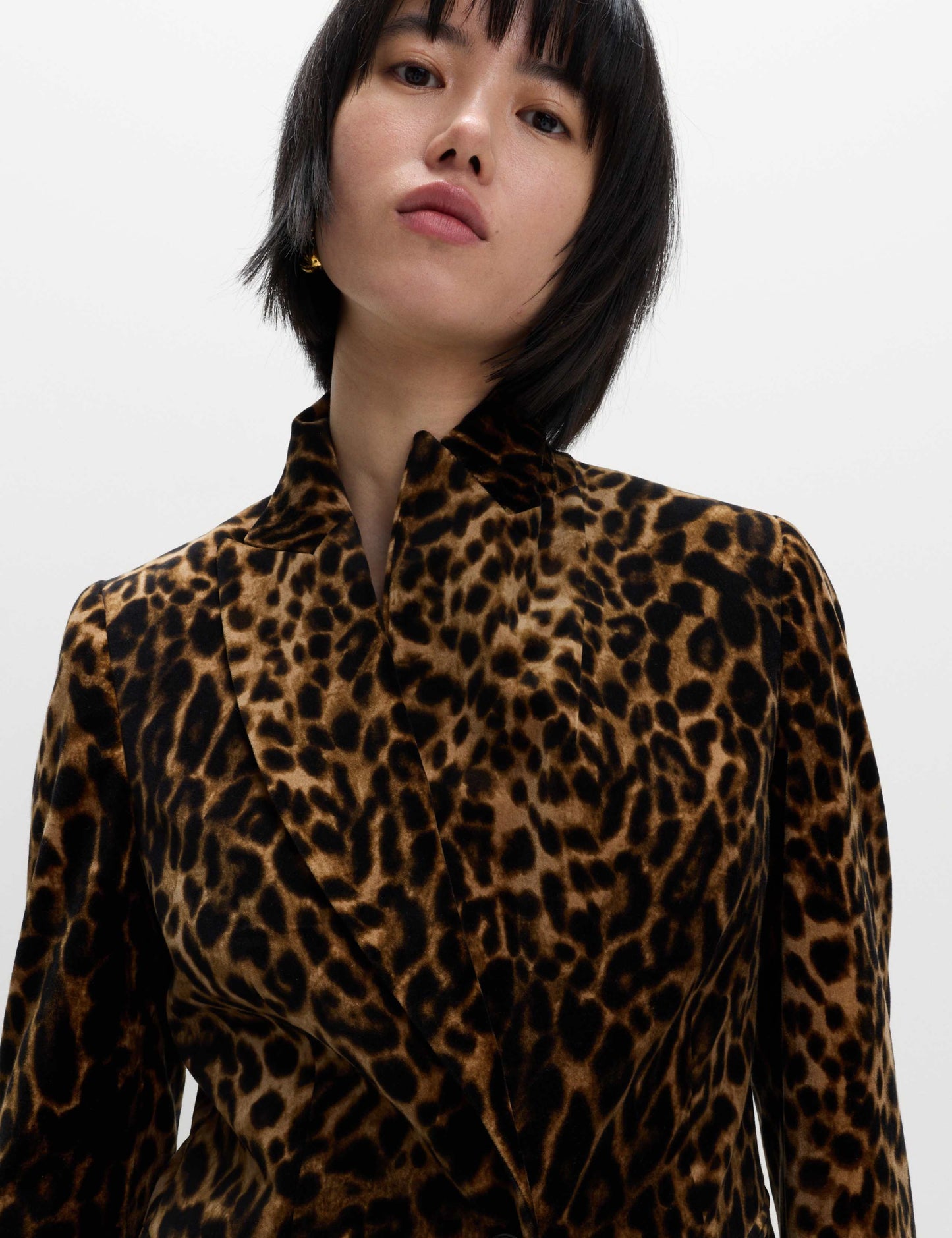 Cotton Velvet Leopard Single Breasted Blazer