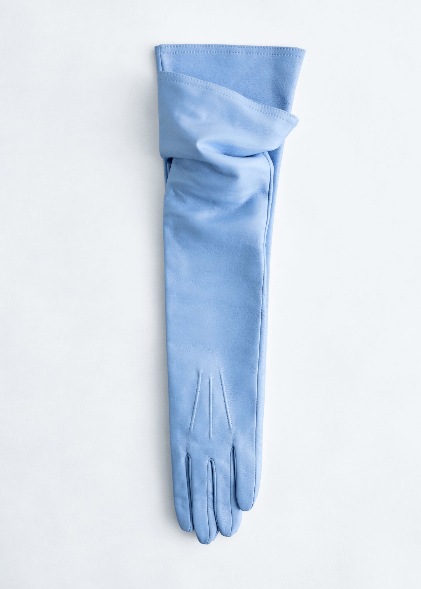 Long Leather Gloves