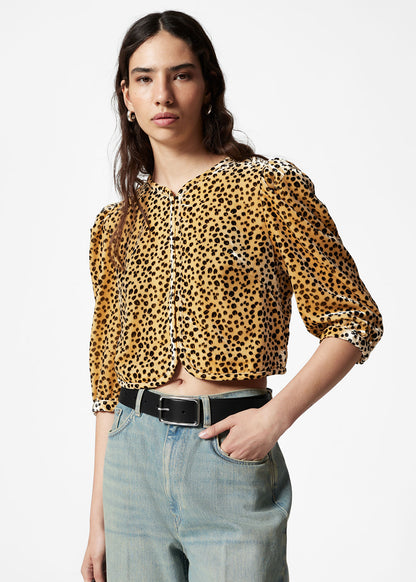 Velvet Cropped Blouse