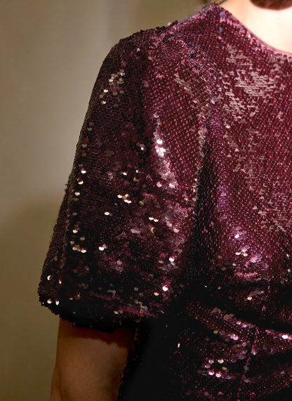 Burgundy Sequin Short Sleeve Top