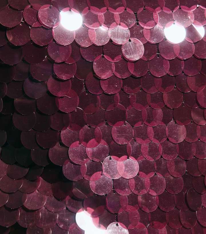 Dark Burgundy Sequinned Short Sleeve Top