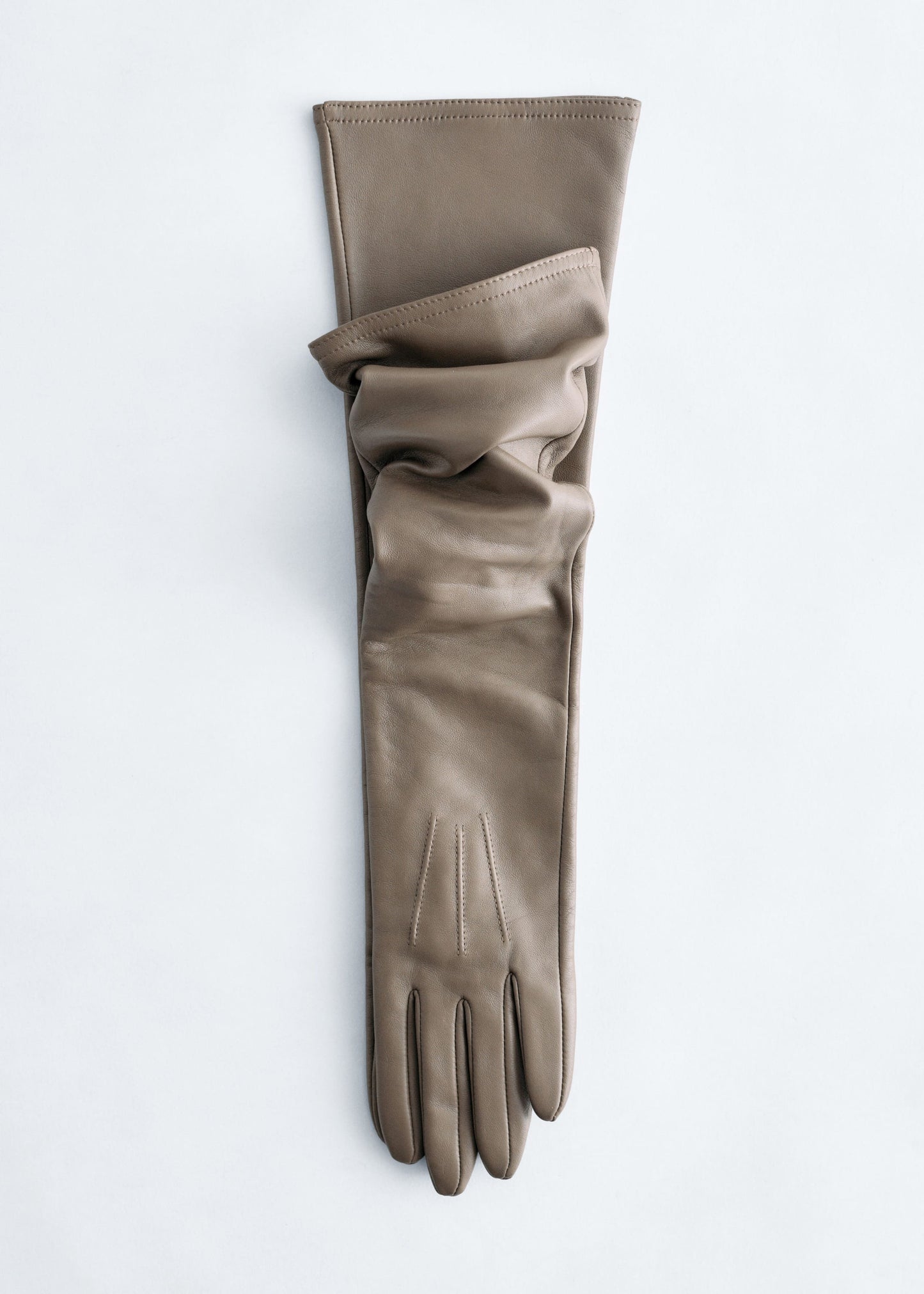 Long Leather Gloves