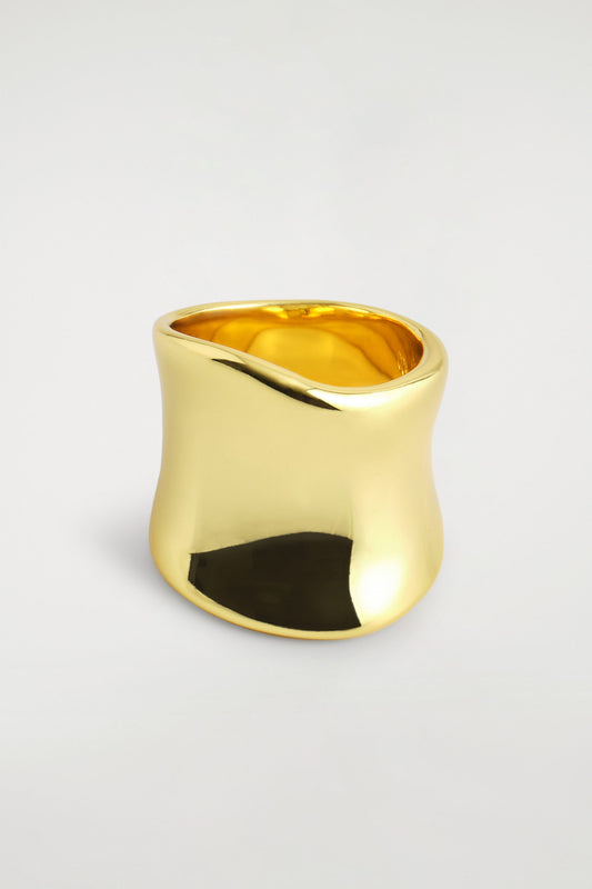 Elongated Sculpted Ring