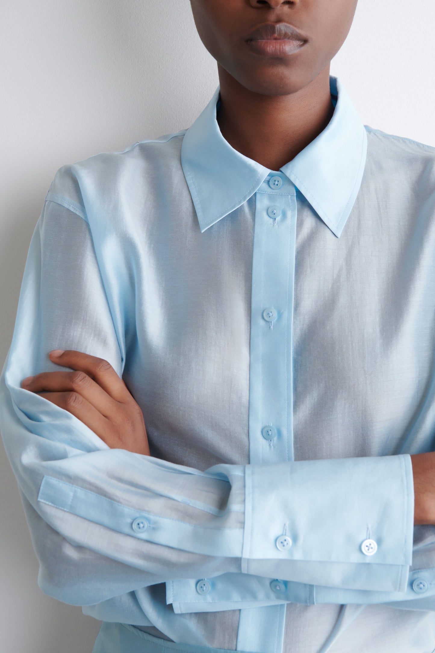 Sheer Shirt