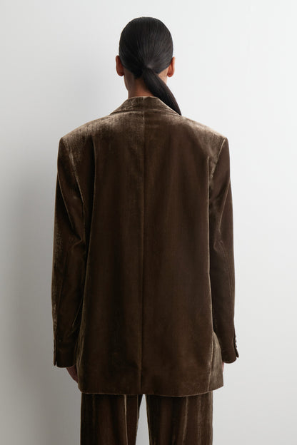 Single-Breasted Velvet Blazer