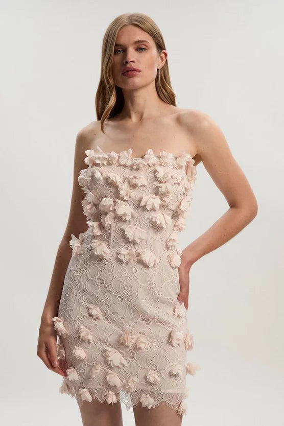 Applique Lace Corset Woven Mini Dress