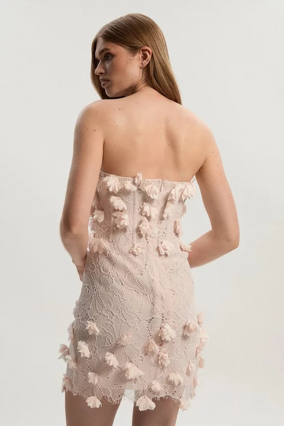 Applique Lace Corset Woven Mini Dress