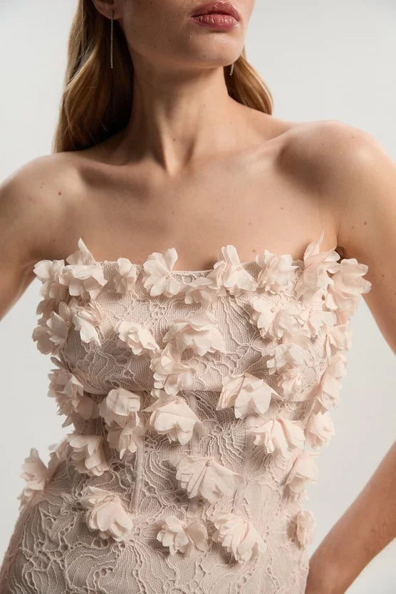 Applique Lace Corset Woven Mini Dress