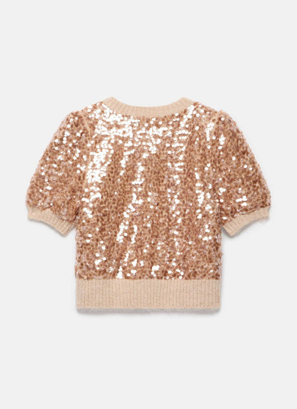 Neutral Sequin Knit Top