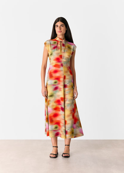Multicolour Photographic Flower Midi Dress