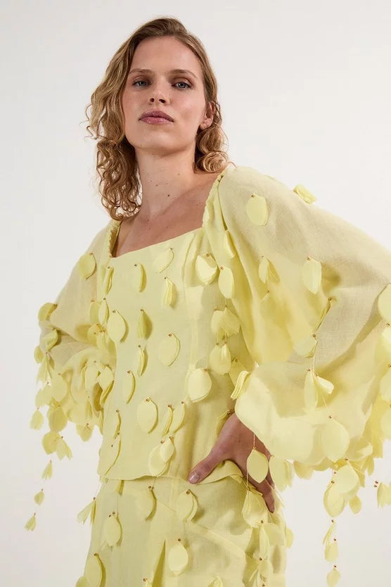 Applique Balloon Sleeve Woven Top
